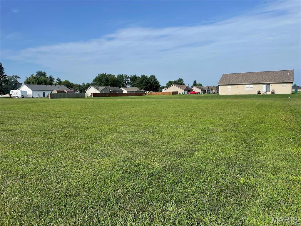 1019 St Peter Avenue St. Libory, IL 62282 - Photo 4 of 9