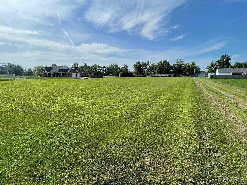 1019 St Peter Avenue St. Libory, IL 62282 - Photo 5 of 9