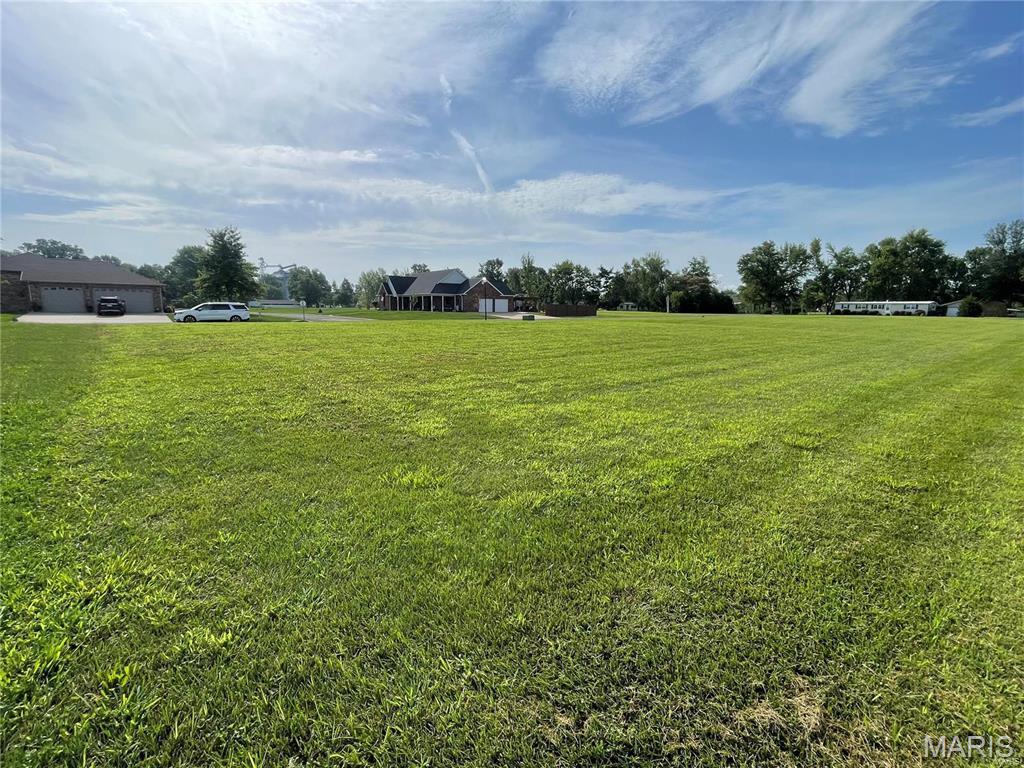 1019 St Peter Avenue St. Libory, IL 62282 - Photo 6 of 9