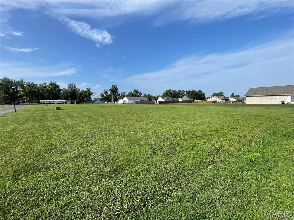 1019 St Peter Avenue St. Libory, IL 62282 - Photo 8 of 9