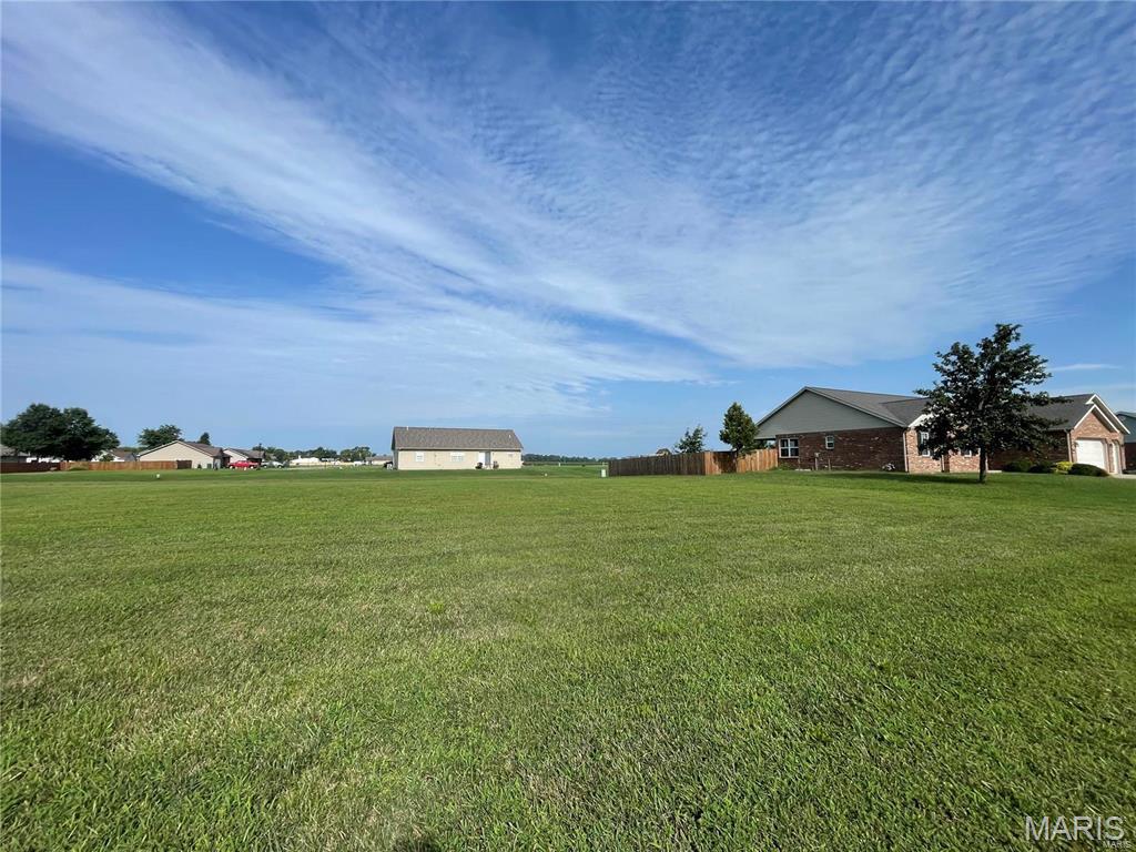 1019 St Peter Avenue St. Libory, IL 62282 - Photo 9 of 9