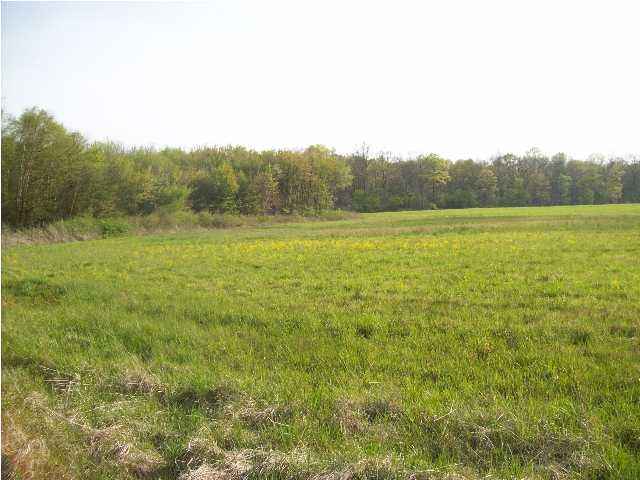 1214 Big Spring Gap Road, Unit 1 Pikeville, TN 37367 - Photo 3 of 11 Additional Photo