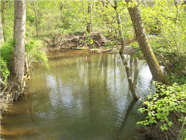1214 Big Spring Gap Road, Unit 1 Pikeville, TN 37367 - Photo 8 of 11 Additional Photo