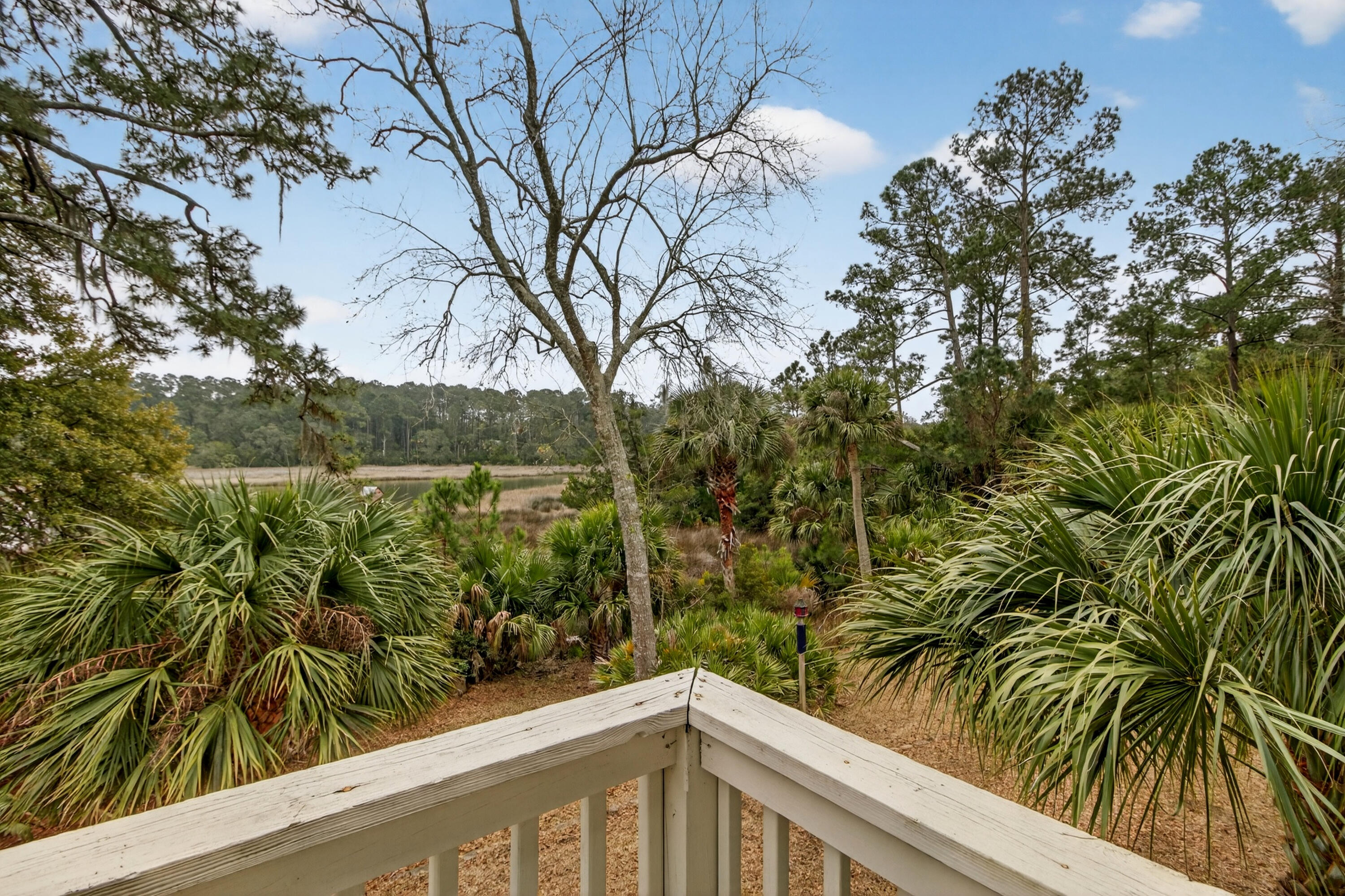 8970 Palmetto Road Edisto Island, SC 29438 - Photo 30 of 48