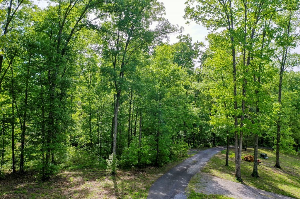 23 Sandy Ridge Road Dandridge, TN 37725 - Photo 35 of 37