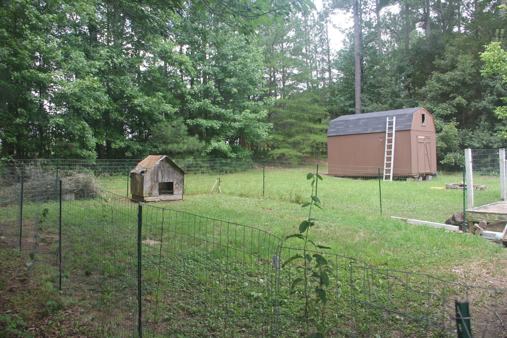 149 Graystone Way Rocky Face, GA 30740 - Photo 17 of 17 IMG_4934