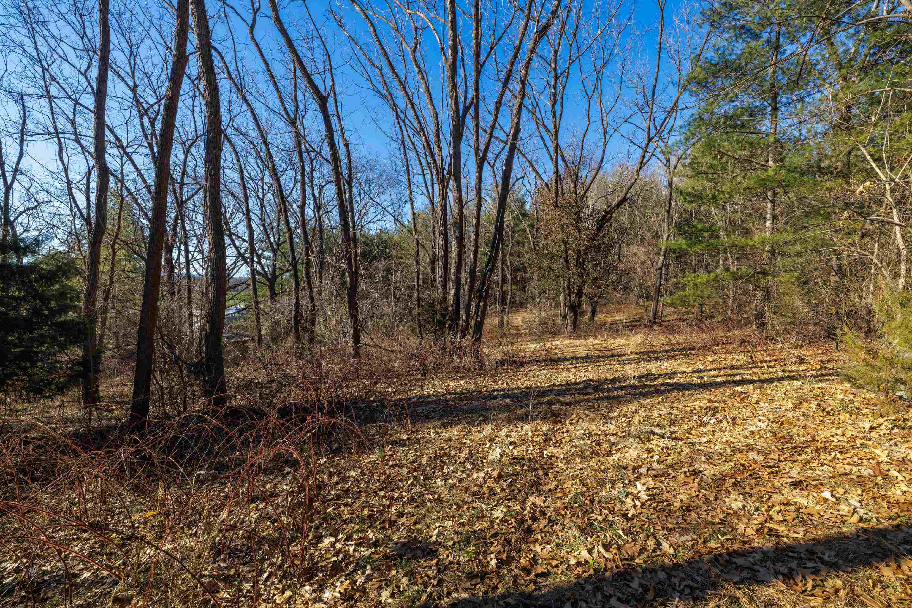 Tbd Fairview Road Mount Crawford, VA 22841 - Photo 5 of 16 Gallery Image 5