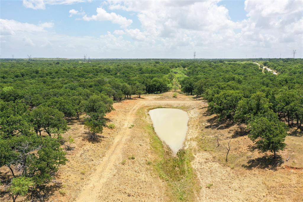 16.5-acres Burwick Road Jacksboro, TX 76458 - Photo 7 of 38