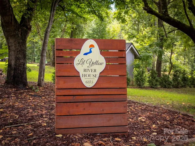 a view of a park with large trees