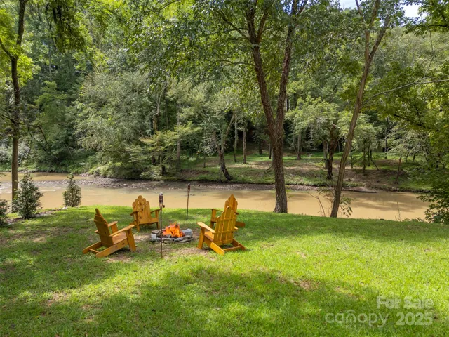 a view of a forest with a street