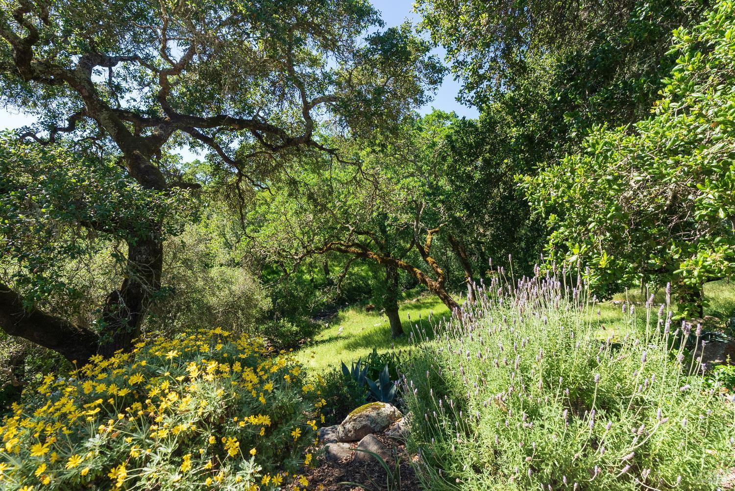 1835 San Ramon Way Santa Rosa, CA 95409 - Photo 9 of 44