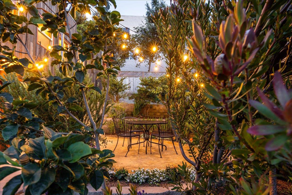 280 San Benito Road Brisbane, CA 94005 - Photo 41 of 63 a picture of tree