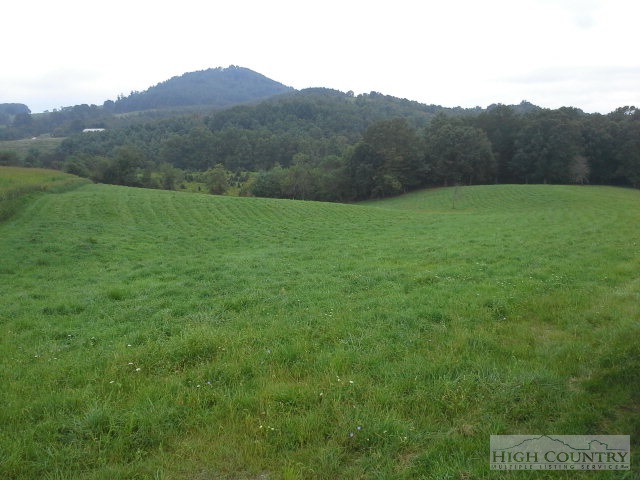 0 Jr Dairy Road Ennice, NC 28623 - Photo 1 of 1 Gallery Image 1