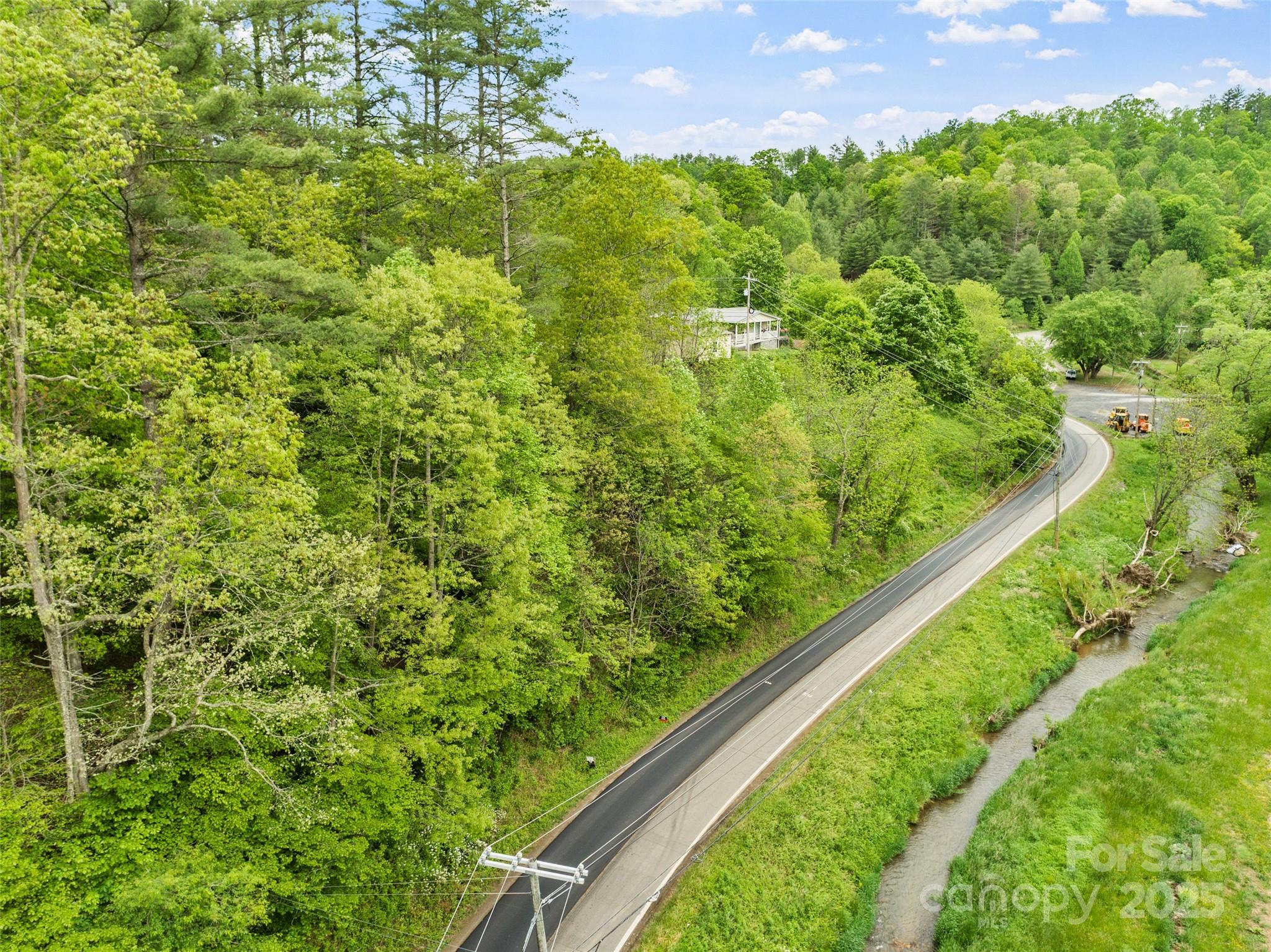 0 Jacks Creek Road Burnsville, NC 28714 - Photo 11 of 11