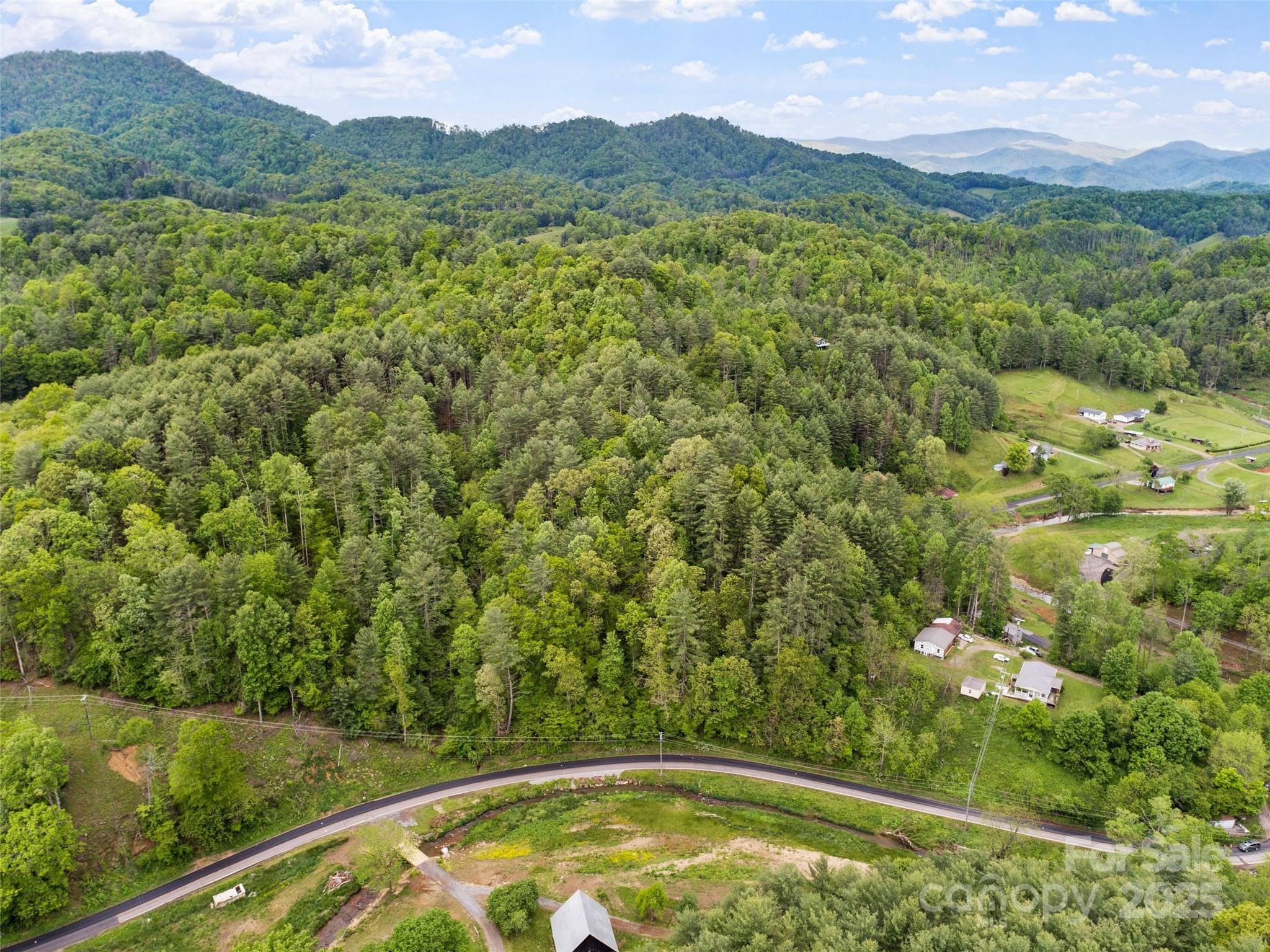 0 Jacks Creek Road Burnsville, NC 28714 - Photo 2 of 11