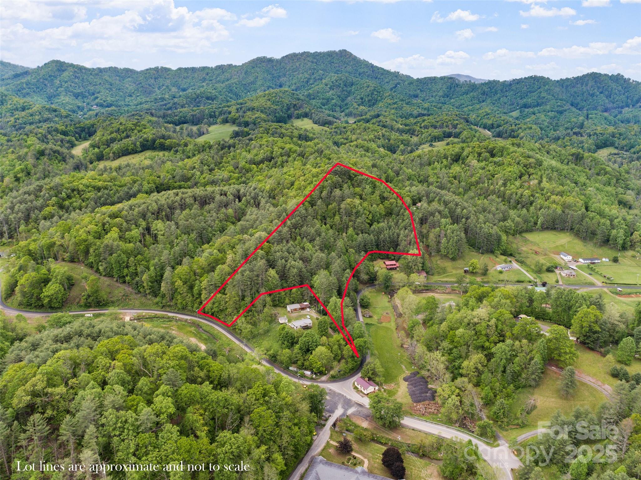0 Jacks Creek Road Burnsville, NC 28714 - Photo 3 of 11