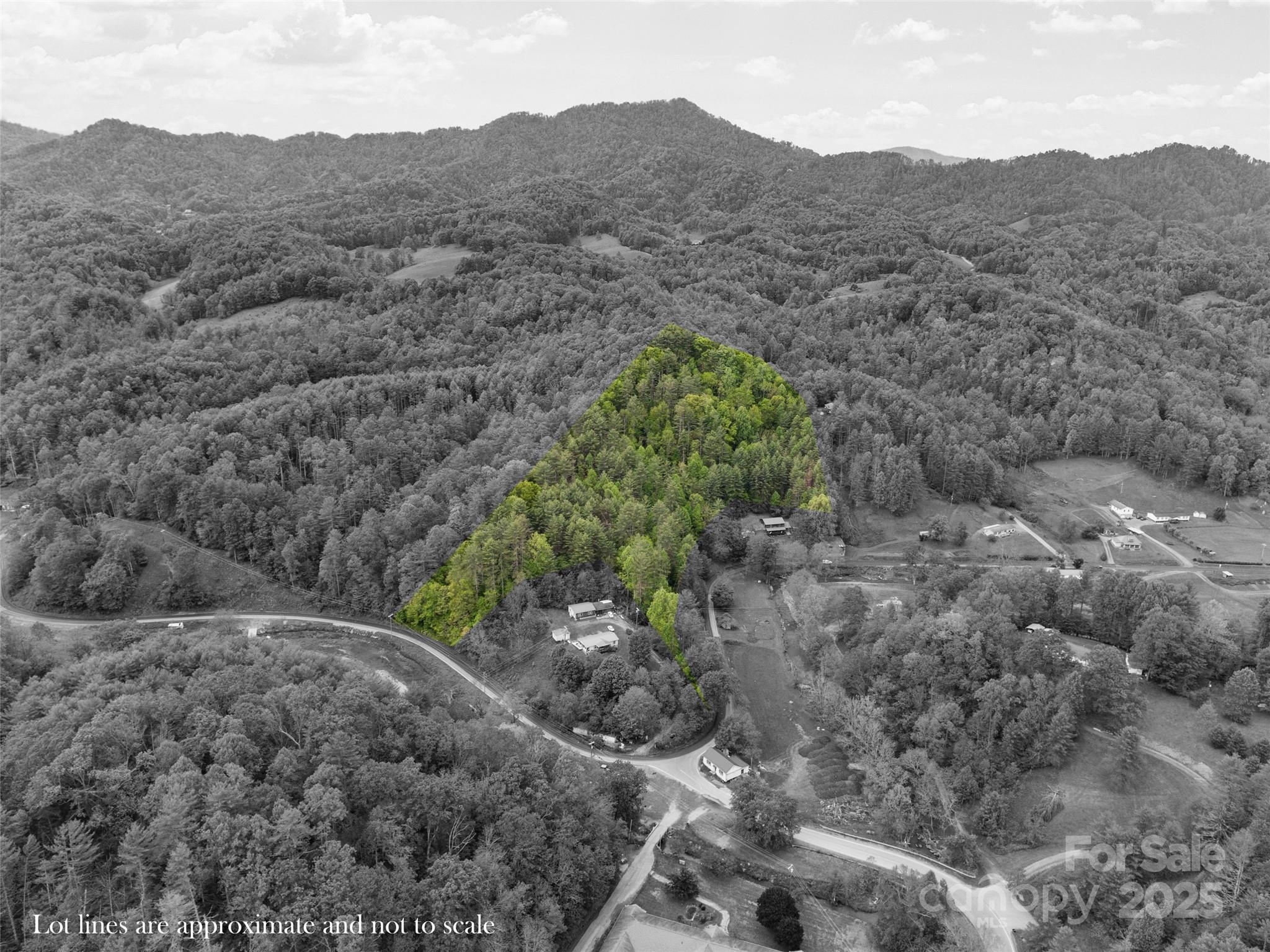 0 Jacks Creek Road Burnsville, NC 28714 - Photo 4 of 11