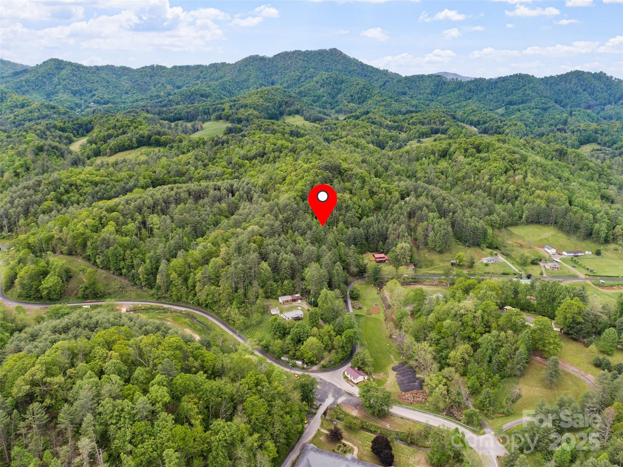 0 Jacks Creek Road Burnsville, NC 28714 - Photo 5 of 11