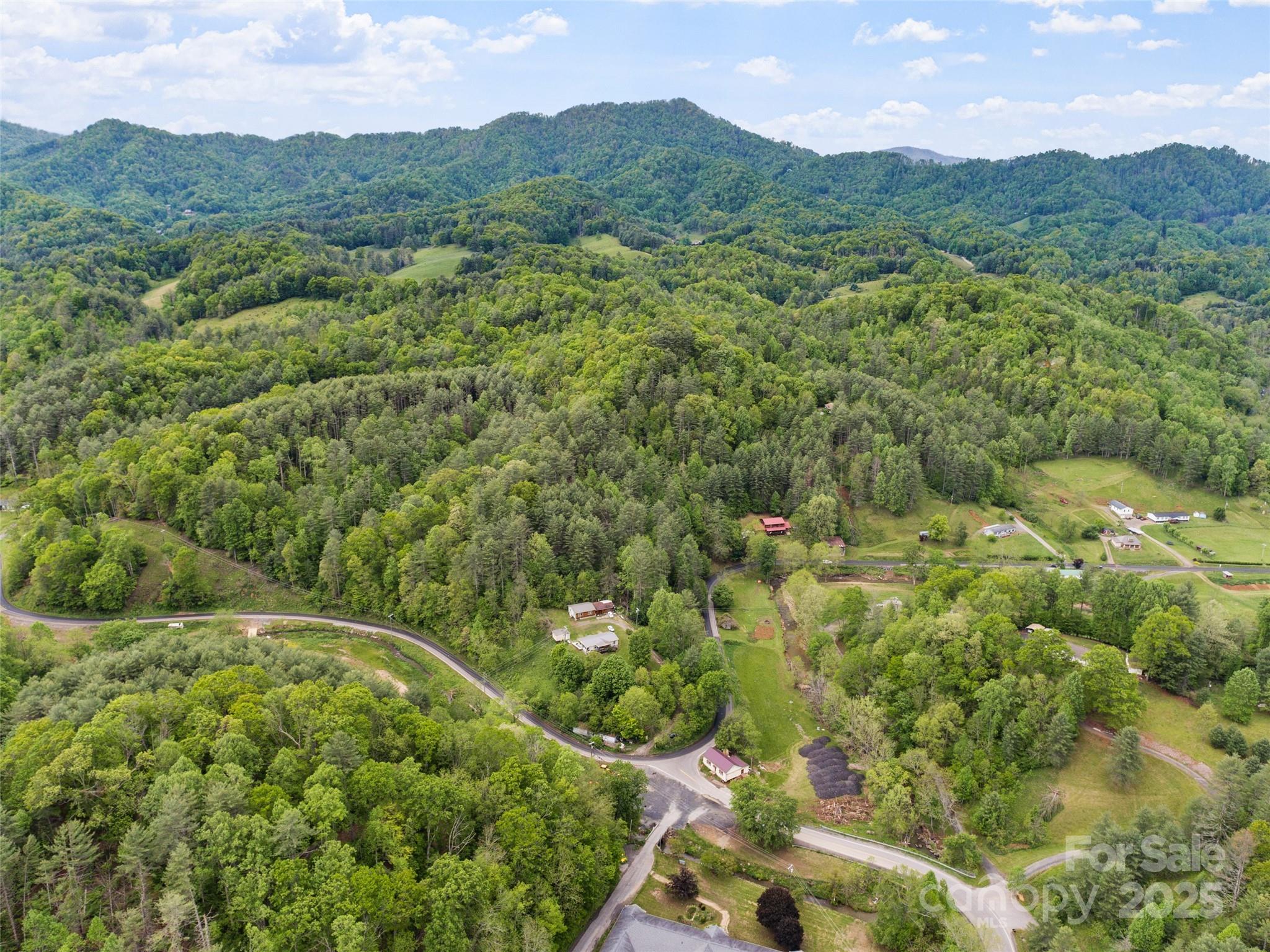 0 Jacks Creek Road Burnsville, NC 28714 - Photo 6 of 11