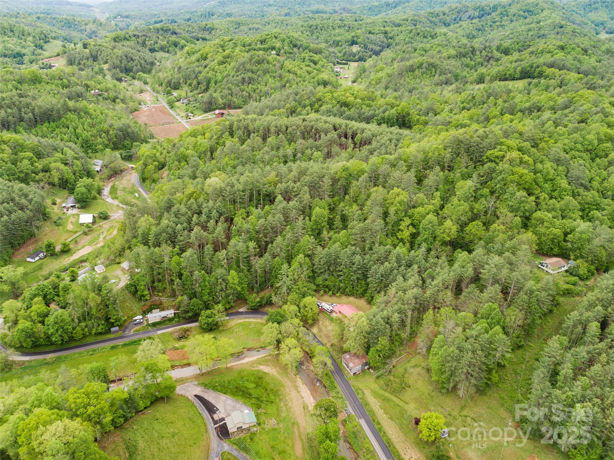 0 Jacks Creek Road Burnsville, NC 28714 - Photo 9 of 11