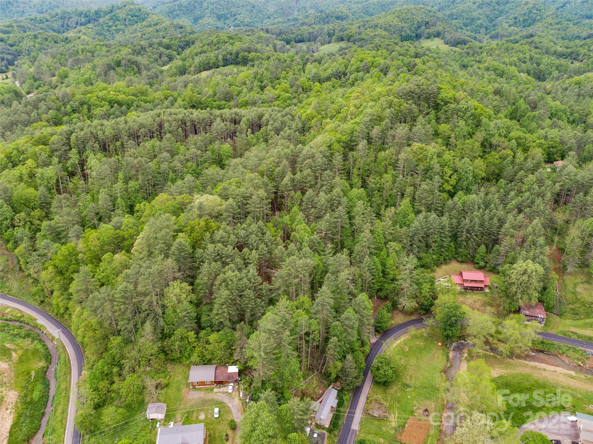 0 Jacks Creek Road Burnsville, NC 28714 - Photo 10 of 11
