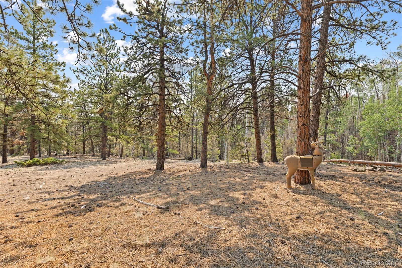 559 Bellows Road Hartsel, CO 80449 - Photo 48 of 50