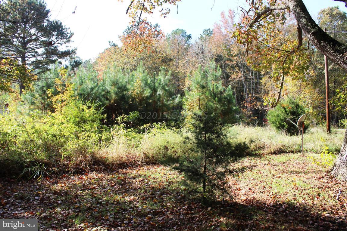 8167 River Road Westover, MD 21871 - Photo 13 of 13 Gallery Image 13
