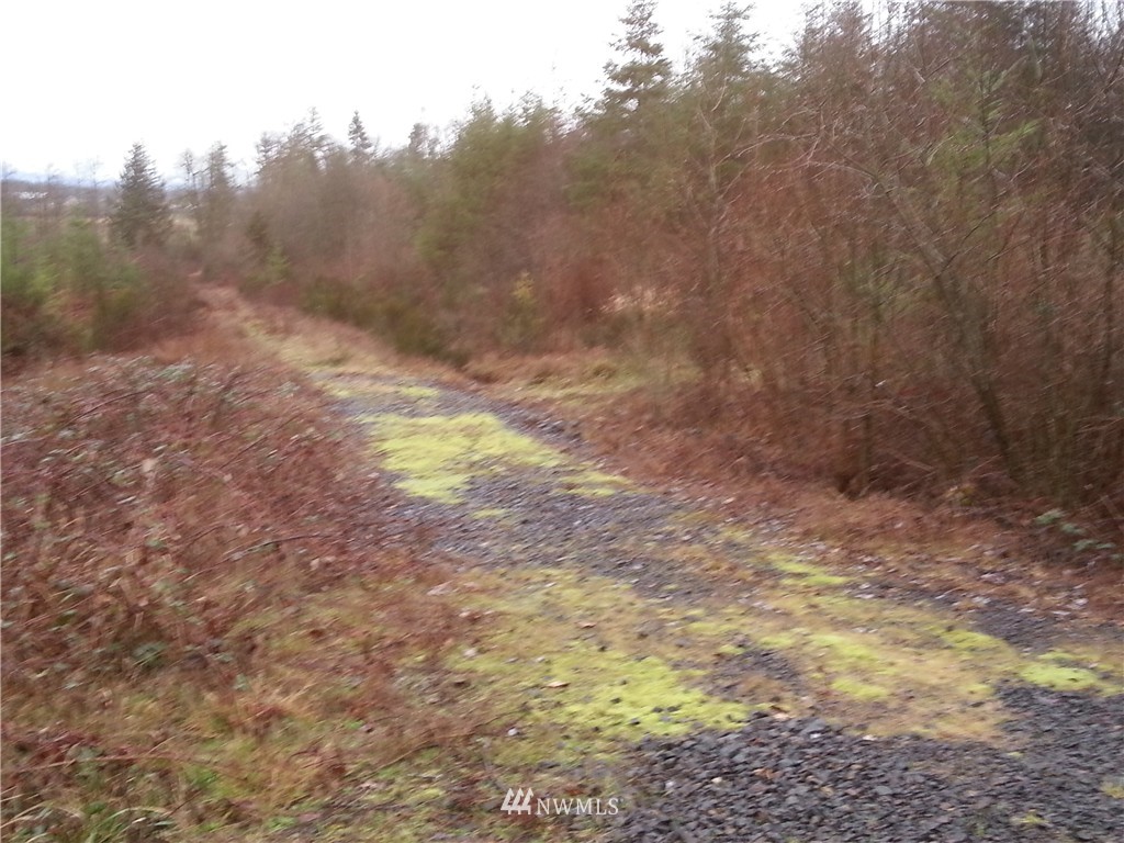 999 Nicholson Road Ethel, WA 98542 - Photo 2 of 2