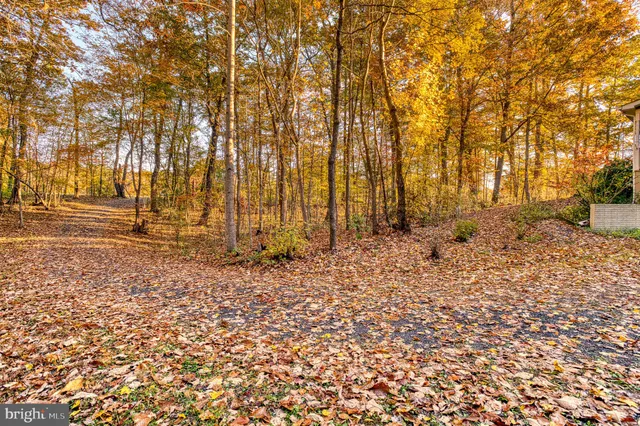 $449,000 | 24552 Eleys Ford Road, Lignum, VA 22726