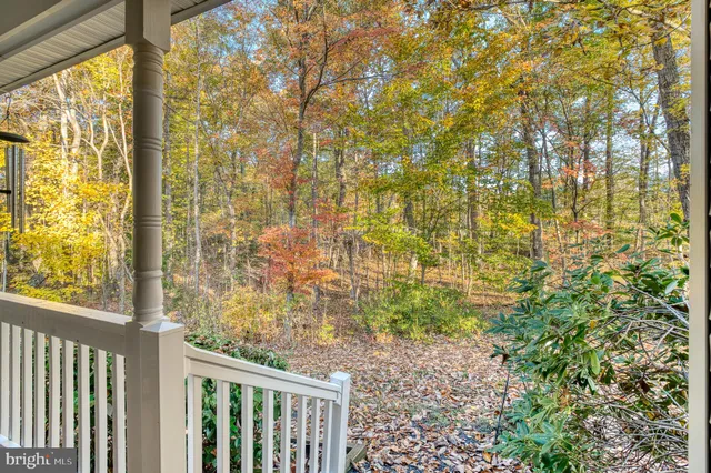 a view of a garden from a window