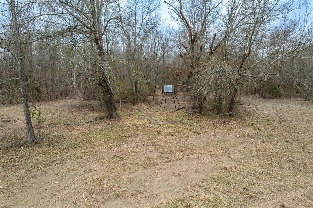 139 Northwest County Road, Unit 1061 Talco, TX 75487 - Photo 22 of 39 a backyard of a house with lots of green space