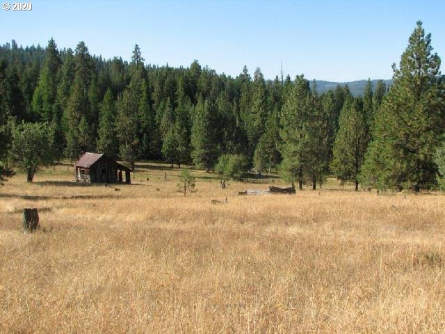 Mosquito Creek Bates, OR 97817 - Photo 2 of 7 a view of a park with large trees