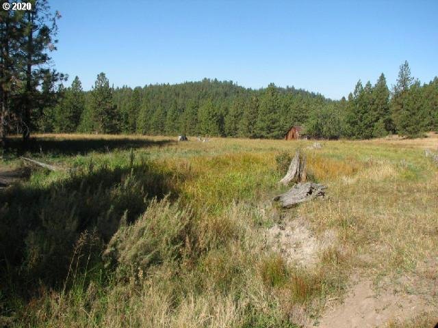 Mosquito Creek Bates, OR 97817 - Photo 3 of 7 a view of a lake from a yard