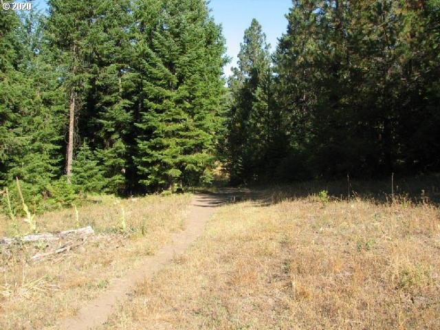 Mosquito Creek Bates, OR 97817 - Photo 4 of 7 a view of lake background