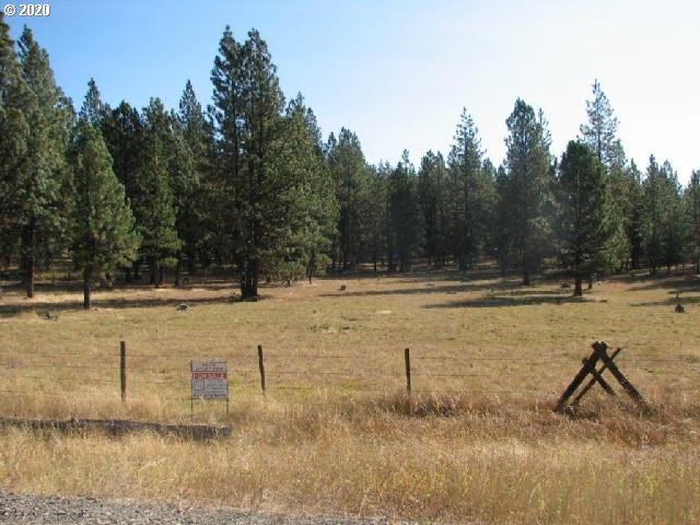 Mosquito Creek Bates, OR 97817 - Photo 5 of 7 a view of swimming pool with trees