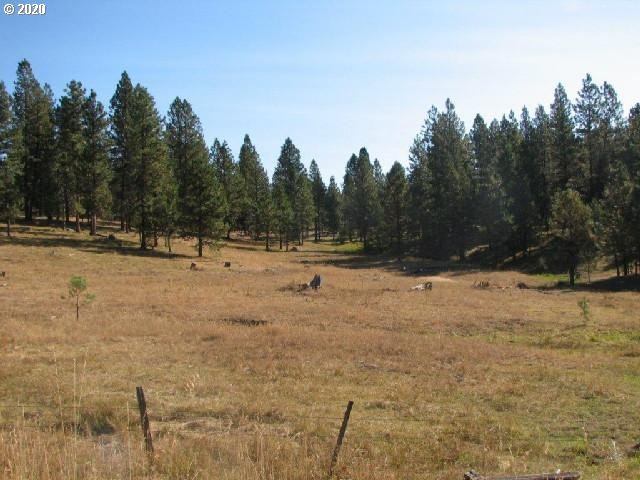 Mosquito Creek Bates, OR 97817 - Photo 6 of 7 a view of outdoor space with trees