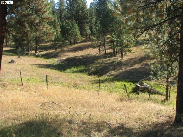 Mosquito Creek Bates, OR 97817 - Photo 7 of 7 a view of yard