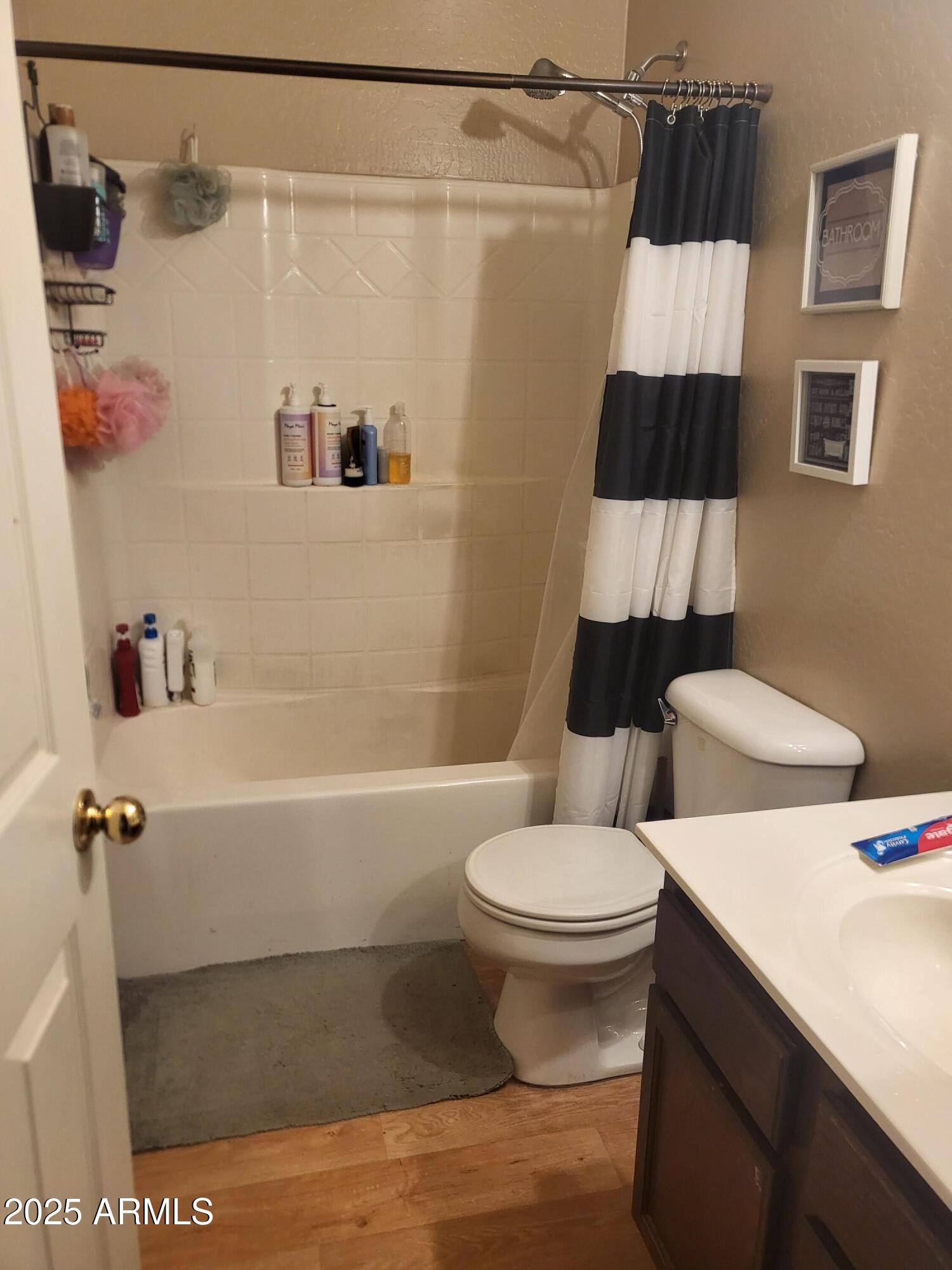 43718 West Magnolia Road Maricopa, AZ 85138 - Photo 7 of 21 a bathroom with a sink a toilet and shower