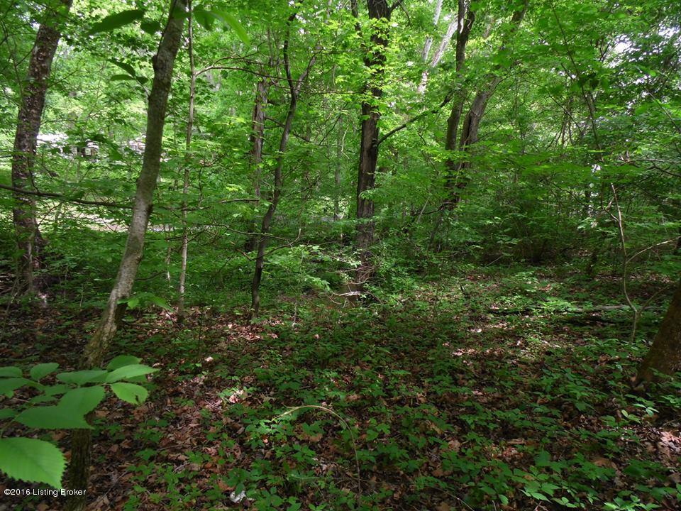 4981 Knob Creek Road Brooks, KY 40109 - Photo 17 of 25 13233193_10209724632376447_1872569573_n