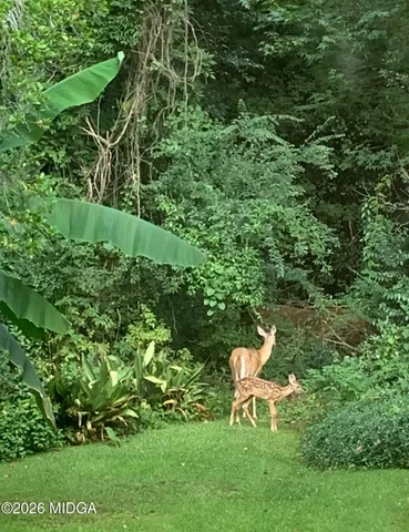 $295,000 | 605 Wesleyan Drive, Macon, GA 31210