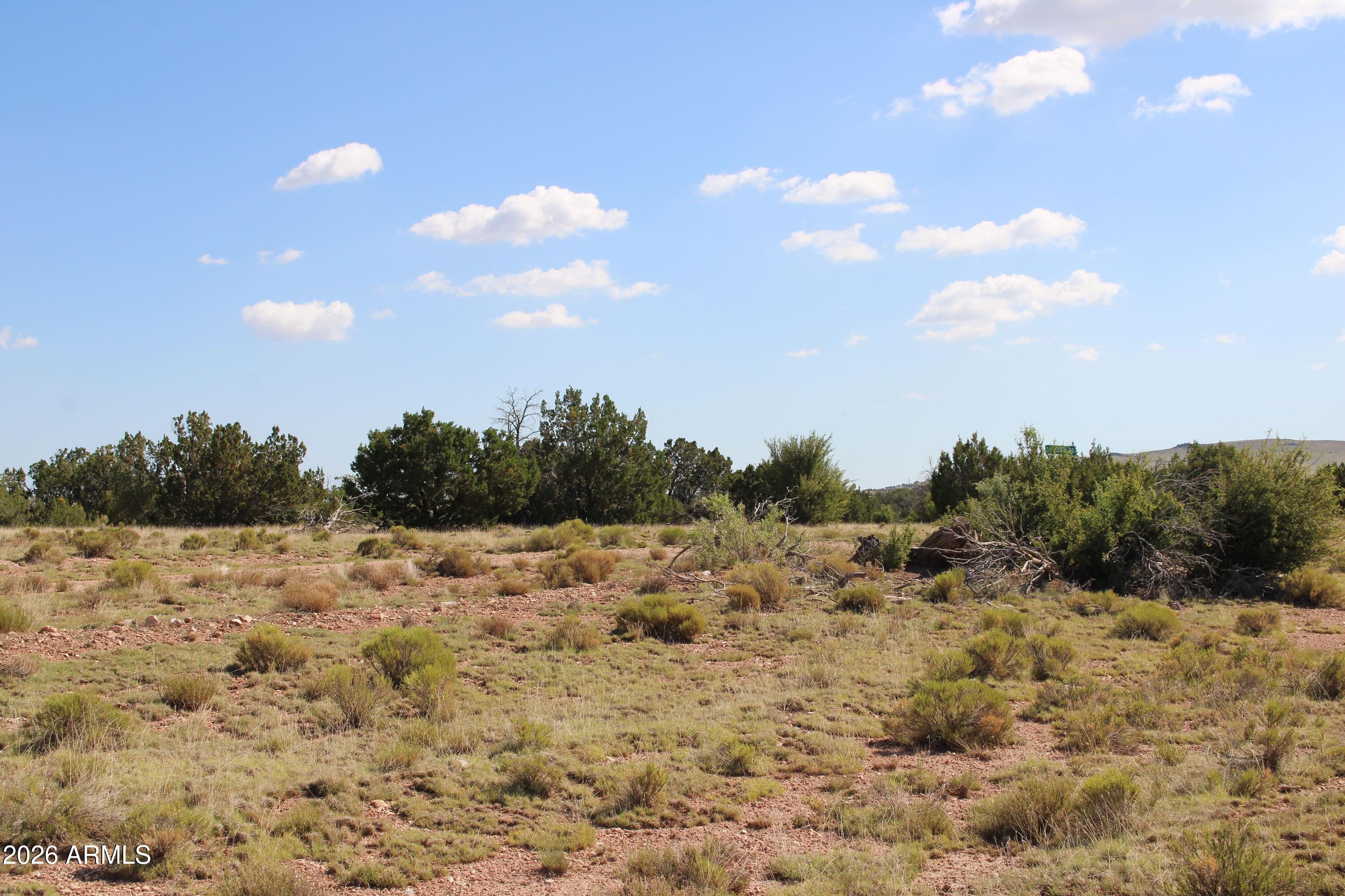 936001 Latigo Road, Unit C Williams, AZ 86046 - Photo 11 of 14 a view of a dry yard with trees
