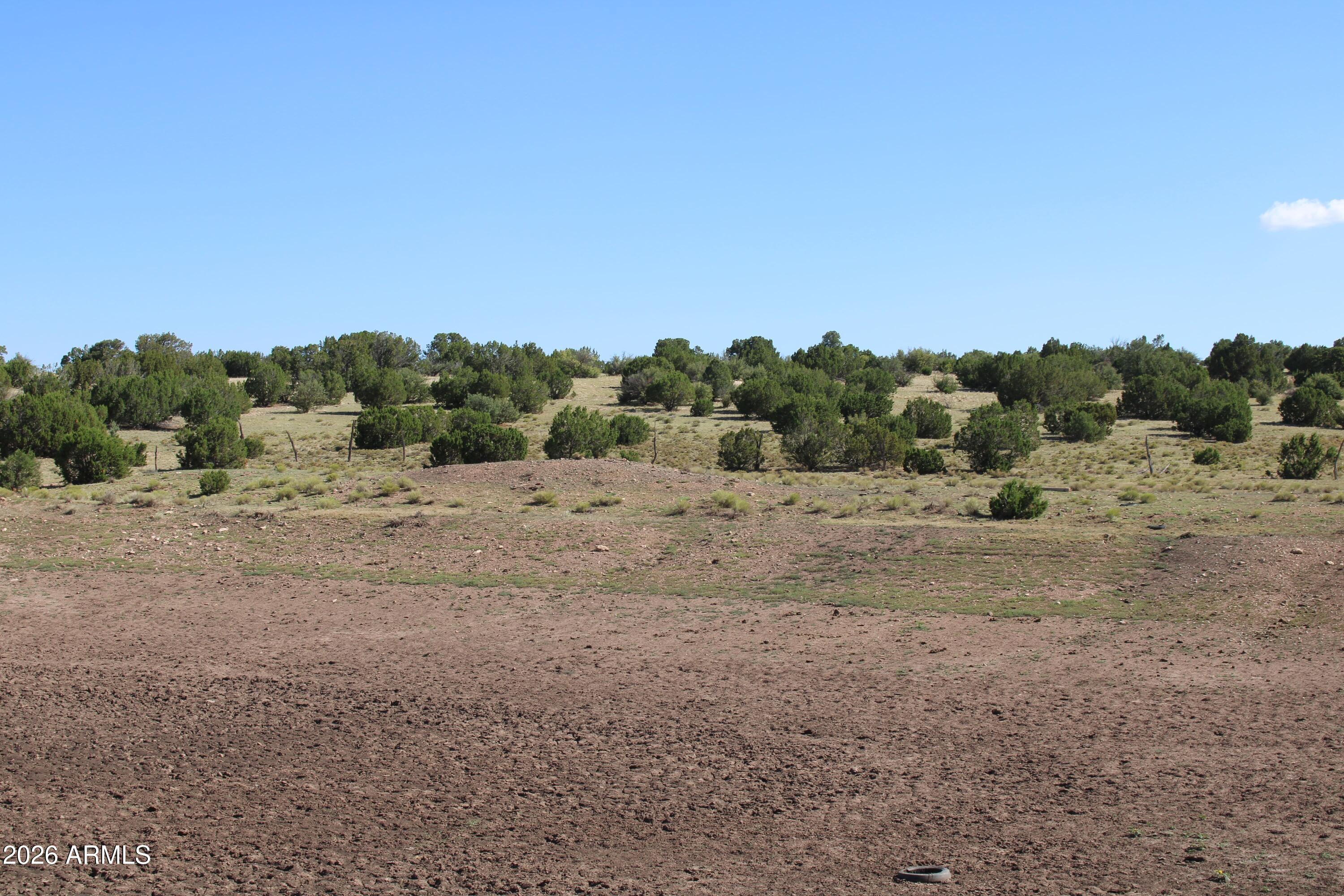 936001 Latigo Road, Unit C Williams, AZ 86046 - Photo 12 of 14 a view of a field with trees in the background