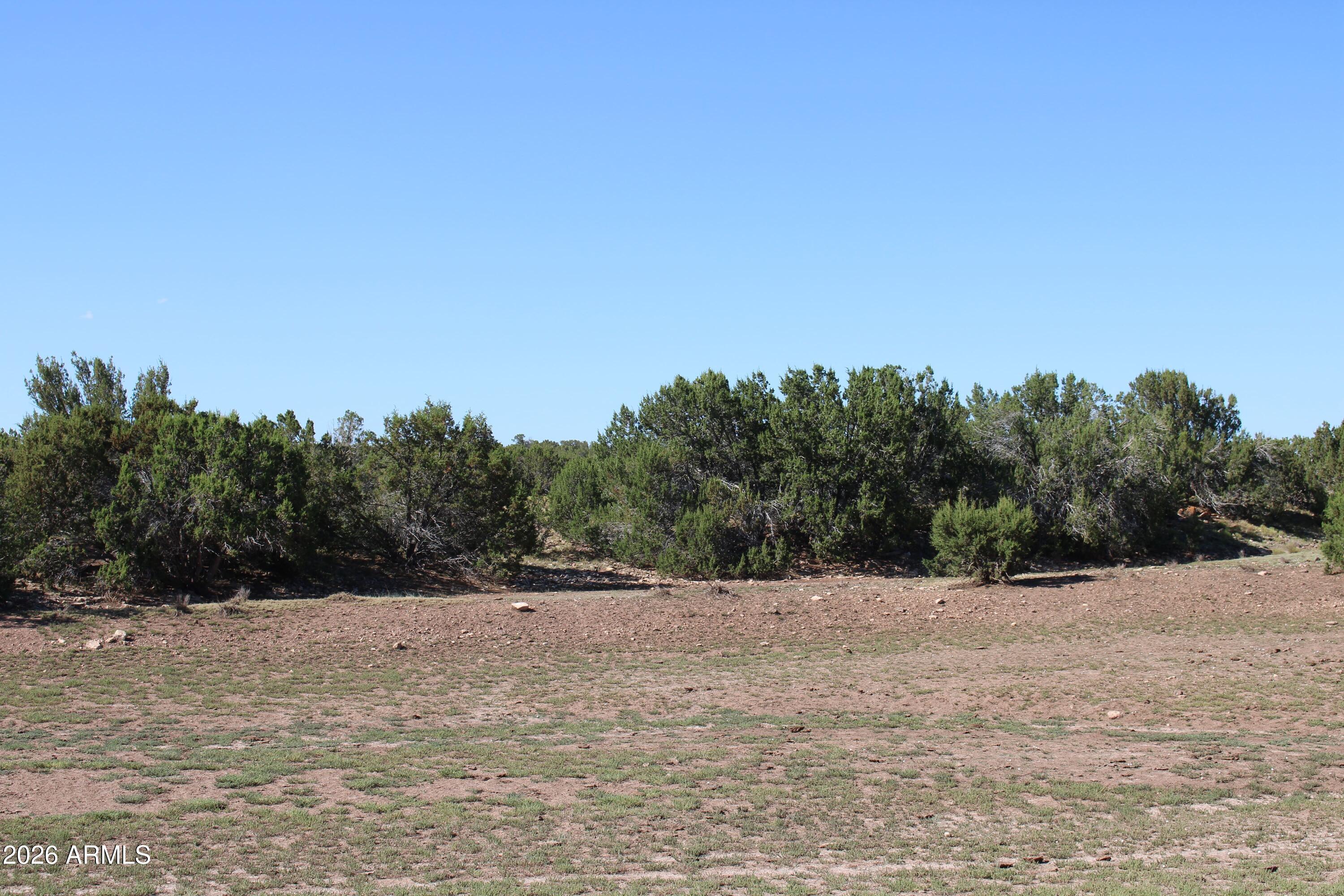 936001 Latigo Road, Unit C Williams, AZ 86046 - Photo 8 of 14 a view of outdoor space with mountain view