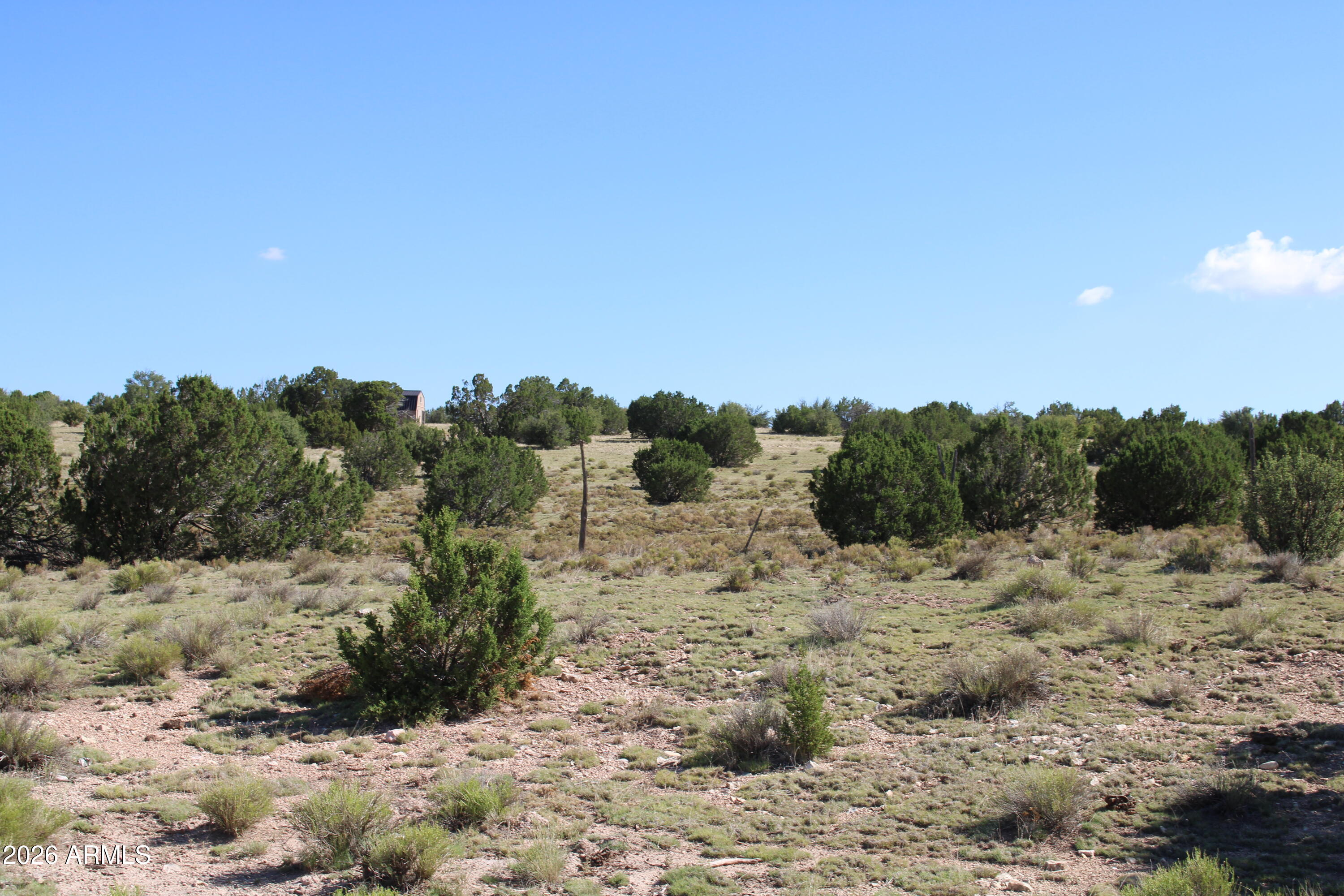 936001 Latigo Road, Unit C Williams, AZ 86046 - Photo 9 of 14 a view of a dry yard with trees in the background