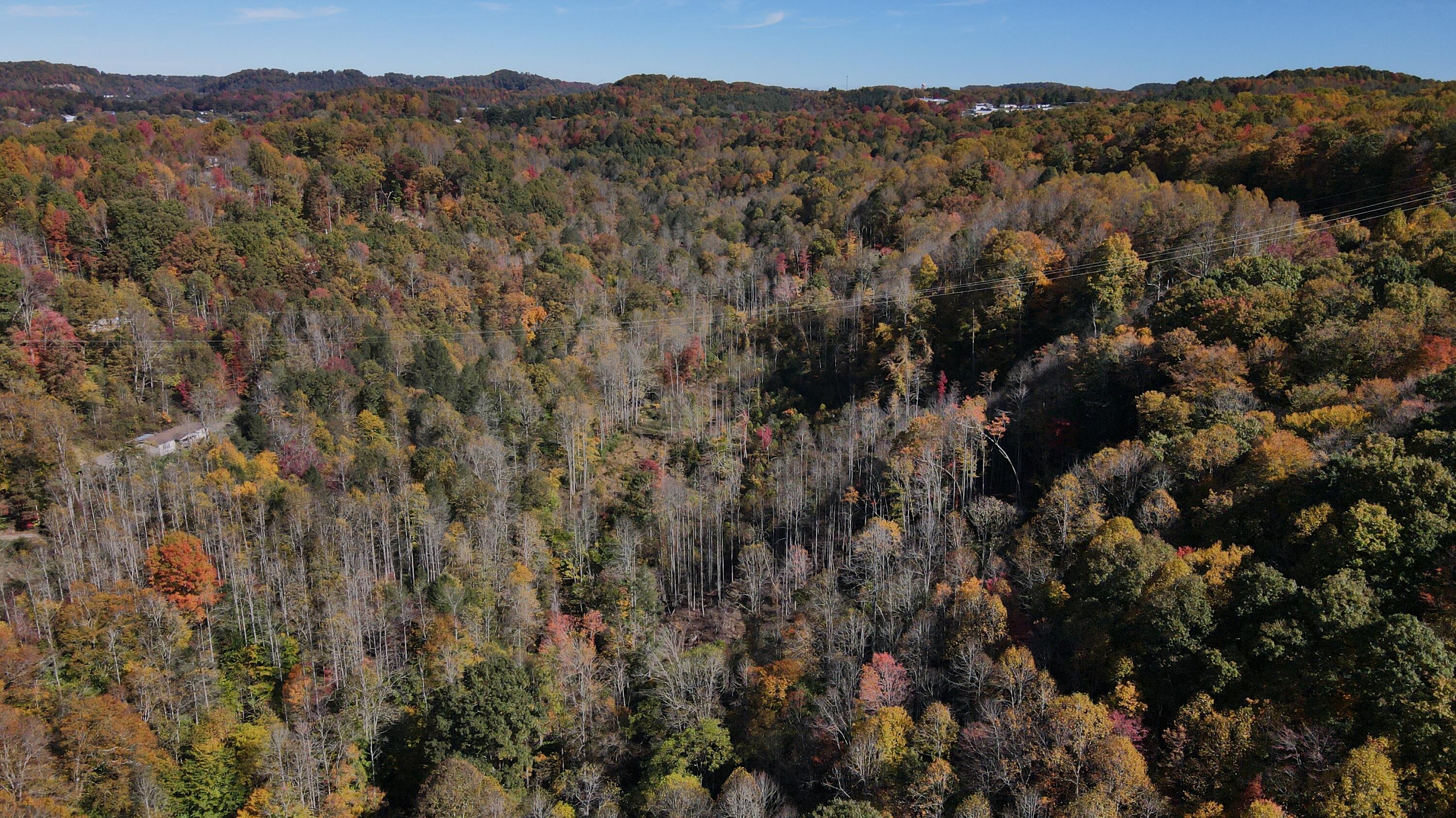 Tbd Yellow Creek Road Southeast Wise, VA 24293 - Photo 2 of 6 Photo_6553920_DJI_320_jpg_6441359_0_2021