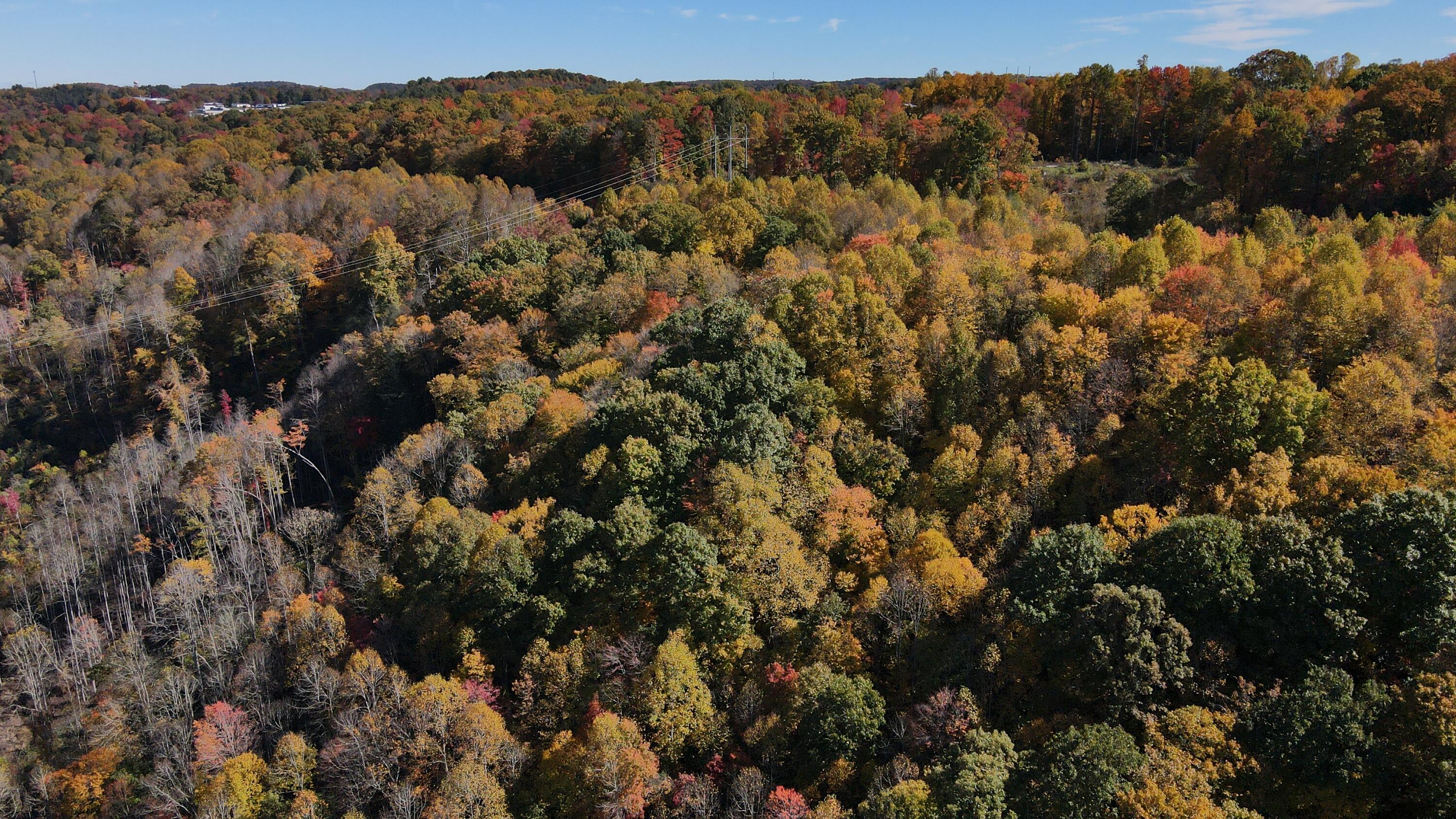 Tbd Yellow Creek Road Southeast Wise, VA 24293 - Photo 3 of 6 Photo_6553919_DJI_319_jpg_6797671_0_2021