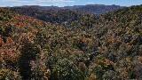 Tbd Yellow Creek Road Southeast Wise, VA 24293 - Photo 5 of 6 Photo_6553923_DJI_323_jpg_6511788_0_2021