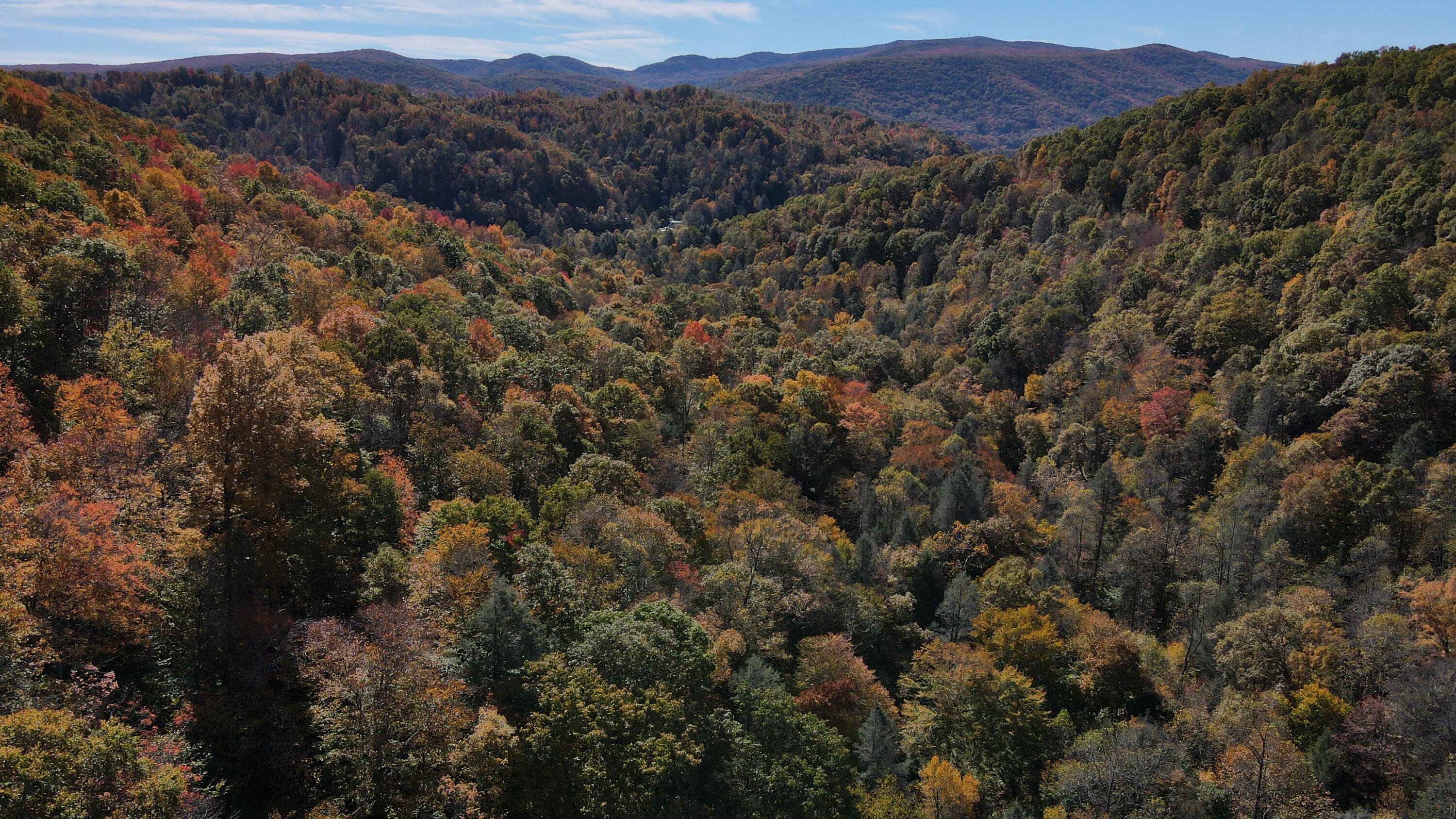 Tbd Yellow Creek Road Southeast Wise, VA 24293 - Photo 6 of 6 Photo_6553923_DJI_323_jpg_6511788_0_2021