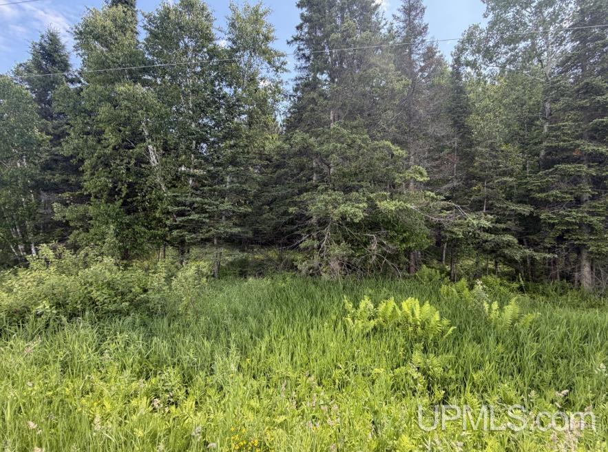 Parcel A Bellaire Road Baraga, MI 49908 - Photo 5 of 7