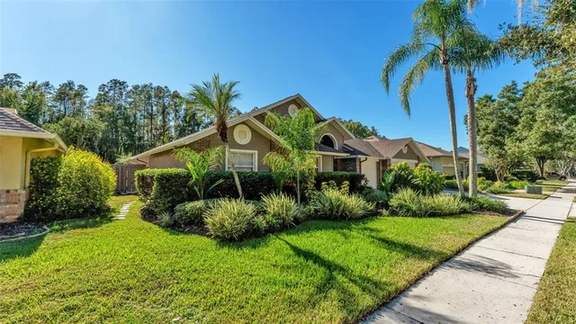 a view of a garden in front of a house